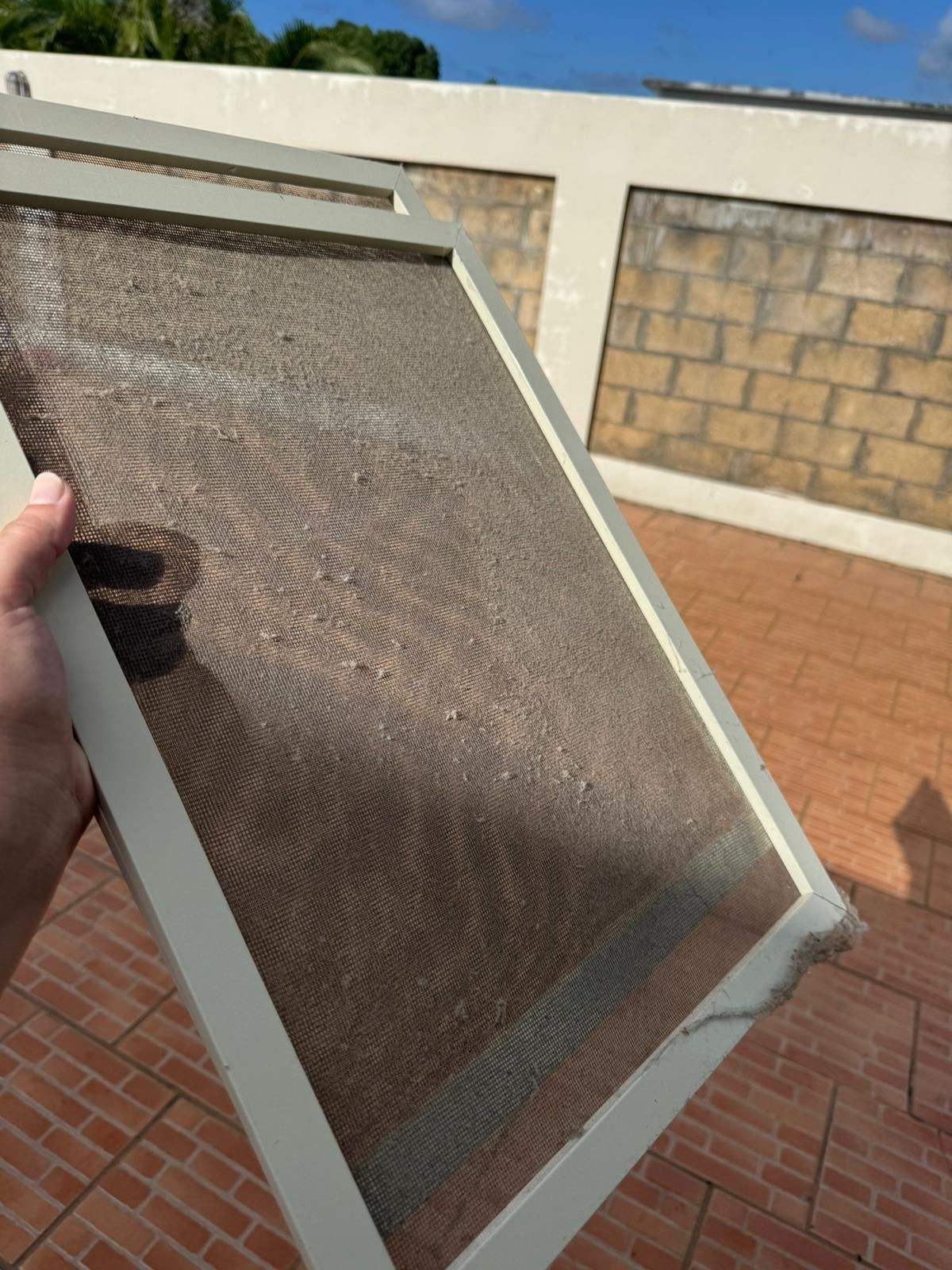 Limpieza ventanas